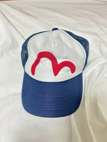 y2k EVISU 에비수 메쉬 캡 모자 카모메 헤이세이