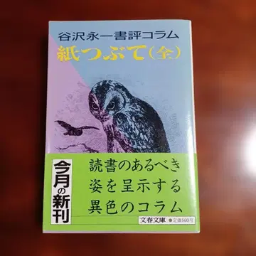 종이 조각(전). 다니자와 에이이치 서평 칼럼.