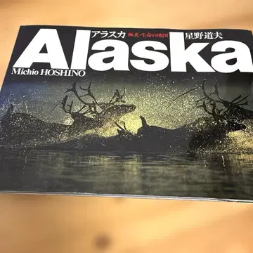 알래스카 극북 생명의 지도 호시노 미치오