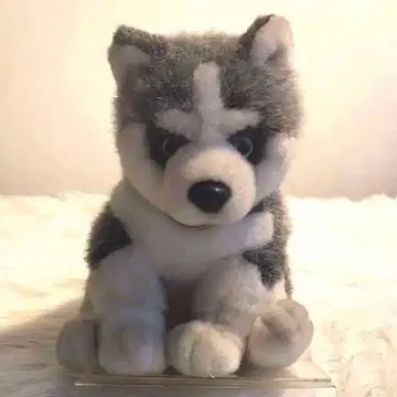 [ 초레어 ] TAKARA 시베리안 허스키 강아지 봉제 인형 타카라