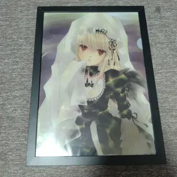 최종 가격 인하 로젠 메이든 클리어 파일 세트