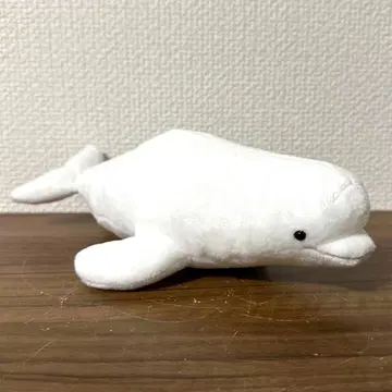 오션 월드 벨루가 흰돌고래 봉제 인형 S