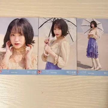 노구치 이오리 브로마이드 컴프 아노콘 아노코 컴플렉스