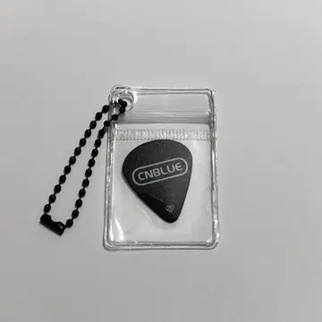 CNBLUE LOVEFNC 피크