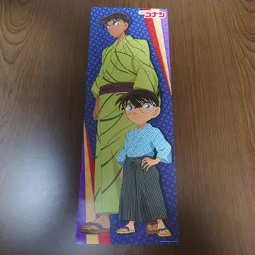 명탐정 코난 포스터 코난과 하인성