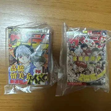 선데이 콩가샤 도서 콩도서