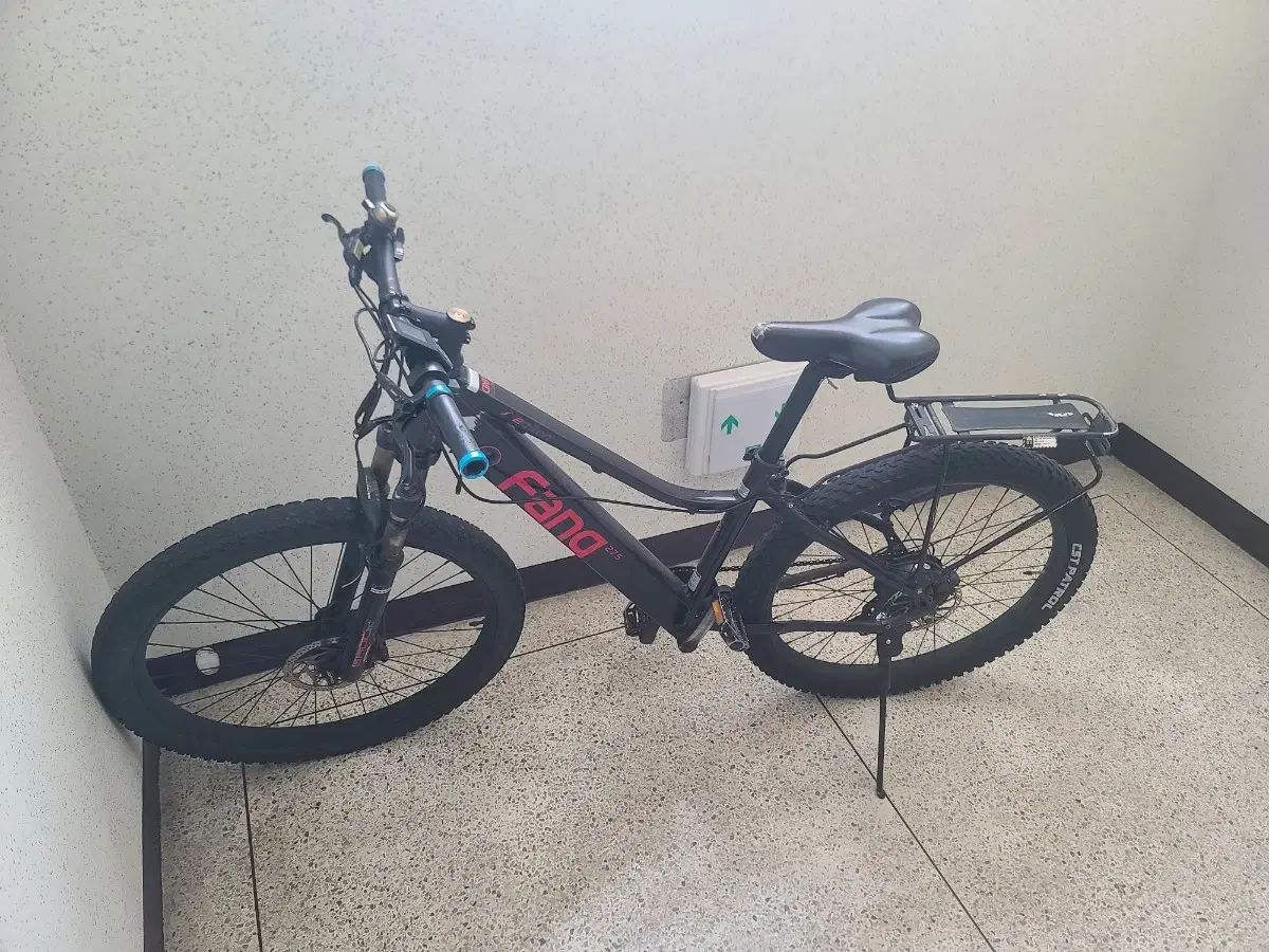 electric bicycle information E-Bike and NEV Information
