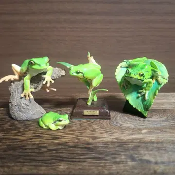 개구리 피규어 4개 세트 네이처 테크니컬러 등
