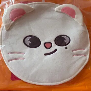 straykids skzoo 부채 커버 현진