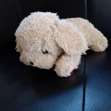 강아지 봉제 인형 베이지 발바닥 포함