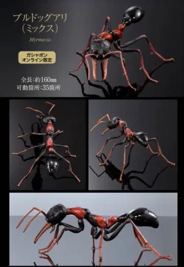 생물대도감 어드밴스 온라인판 한정판 불독개미 믹스 수피 받침대