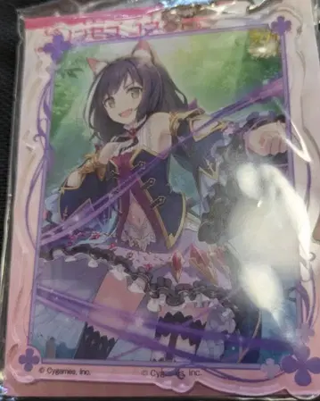 프린세스 커넥트! 빅 키링 캬루 아크릴 키링 프리코네