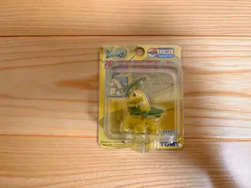 미개봉 몬코레 베이리프 초기