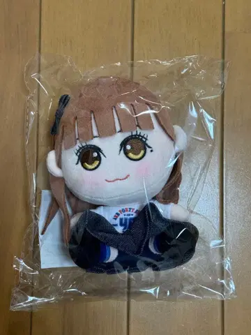 AKB48 봉제 인형 키링 치바 에리