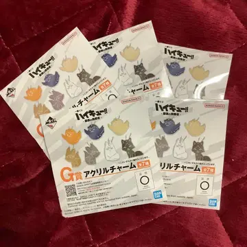 하이큐 제일복권 최강의 도전 G상