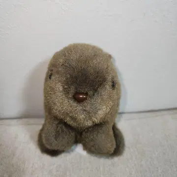 호주 시드니 코알라 패밀리 웜뱃 봉제 인형