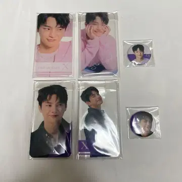 새상품 공식 서인국 [ IN THE X ] 클리어 카드, 핀 배지