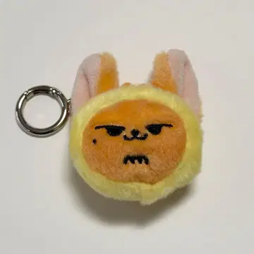 txt 풀바두 팬춘 페이스 키링 연준