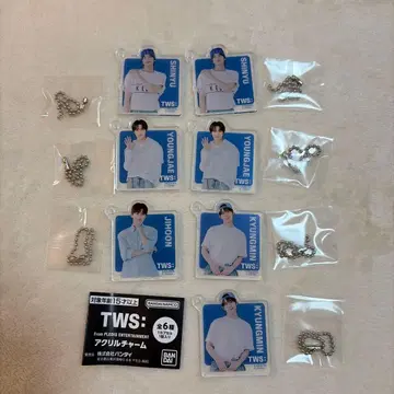 TWS 아크릴 참 캡슐 토이 가챠 묶음 판매