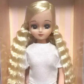 상자 없음 2015년 니혼바시 베이직 모델 리카짱 V-519