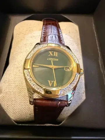 CITIZEN 시티즌 손목시계 에코드라이브 ew1824-06w