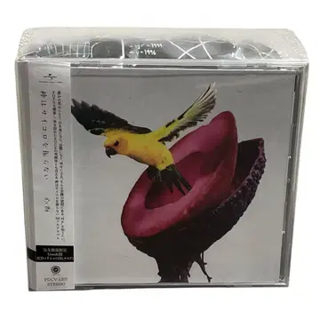 신은 주사위를 던지지 않는다 신사이 CD 티셔츠 한정판 Goods반 완판