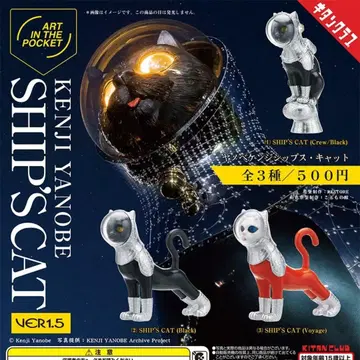 AIP 야노베 켄지 SHIP'S CAT Ver.1.5 전 3종