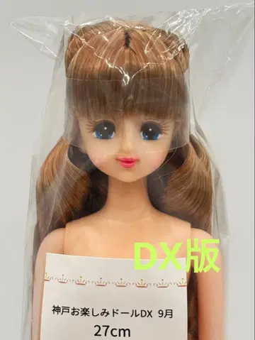 마린 리카짱 캐슬 즐거운 인형 DX 럭셔리판 제니 프렌드