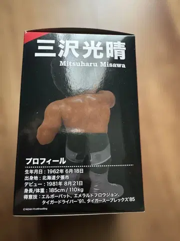 미사와 미츠하루 HAO 피규어 미개봉 새상품 NOAH 전일본 프로레슬링