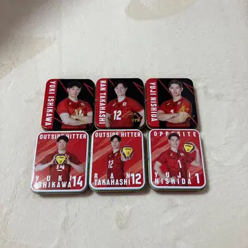 큥쵸코레 배구 남자 일본 대표 6개 세트