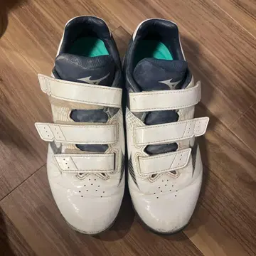 미즈노 트레이닝 슈즈 25.0cm 화이트/네이비