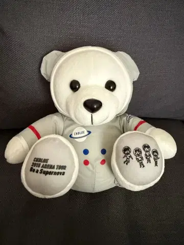 [ 새상품 ] CNBLUE 2015 라이브 투어 공식 봉제 인형