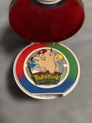 포케파크 핀 배지 픽시