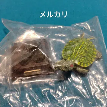 네이처 테크니컬러 일본의 거북 미시시피붉은귀거북 피규어