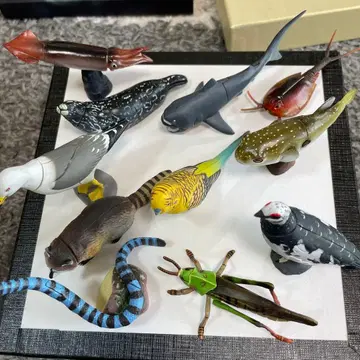 식품 완구 피규어 등 11개 일괄 새상품급