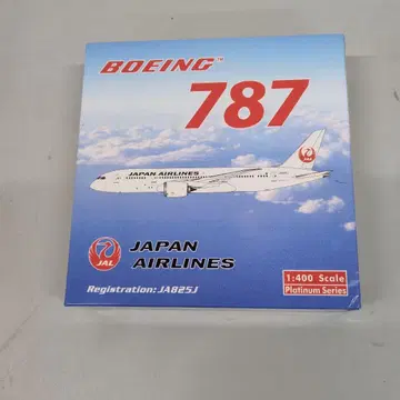 M08/02a0709 Phoenix B787-8 Airlines