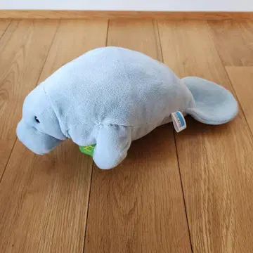 오키나와츄라우미 수족관 오리지널 매너티 봉제 인형