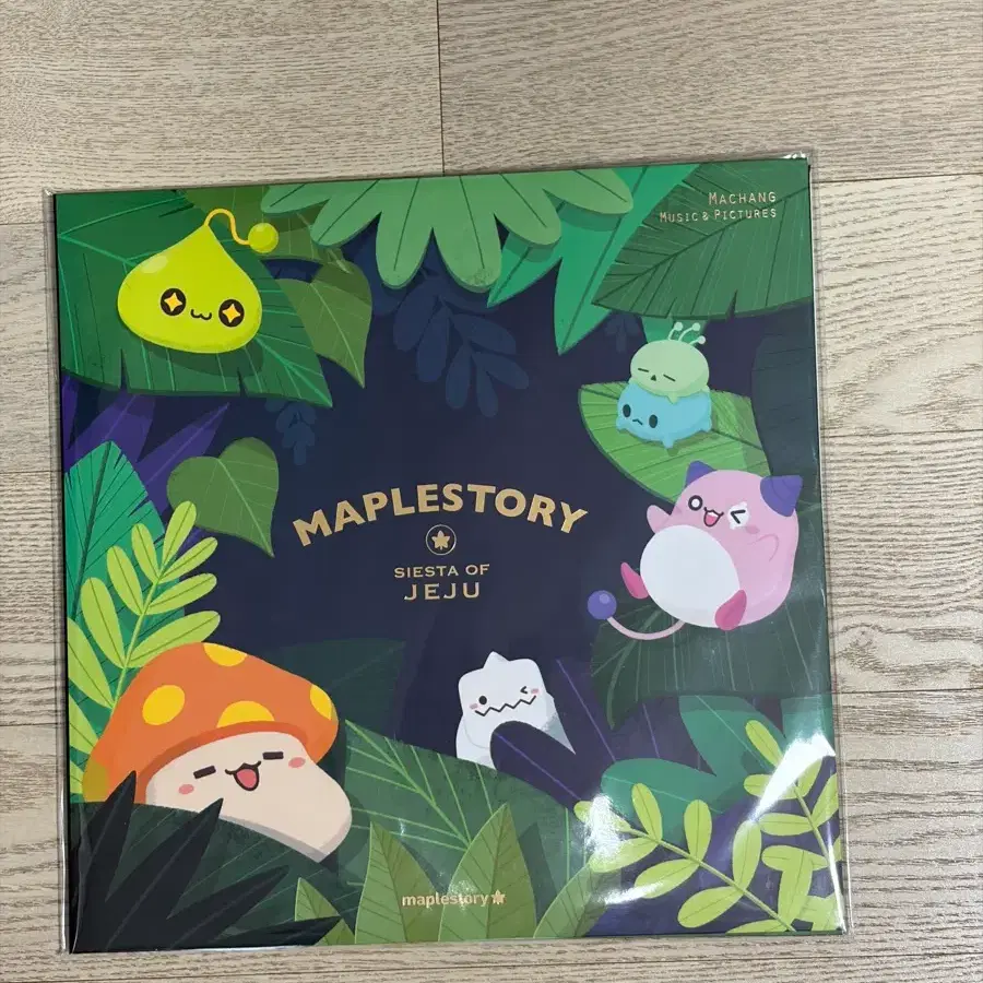 Shop 메이플lp on Bunjang Global Site - No more Korean account!