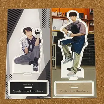 우메하라 유이치로 매실 맞춤 애니메이트 아크릴 스탠드 흑백 매실짱 카페