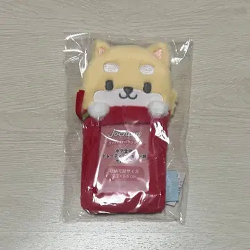 JO1 마메하라 잇세이 JOCHUM 마메치 트레이딩 카드 케이스