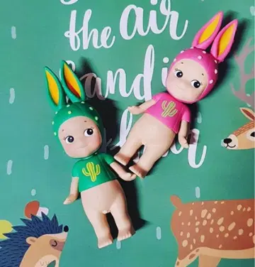 소니엔젤 선인장 캑터스 토끼 컬러 시크릿 2종 세트