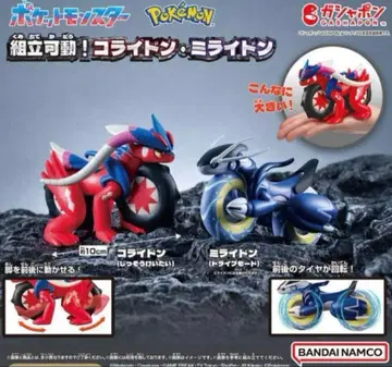 포켓몬 코라이돈 미라이돈 피규어 세트 절판