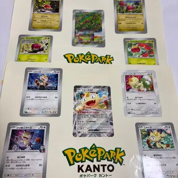 포케파크 관동 나옹 카지치