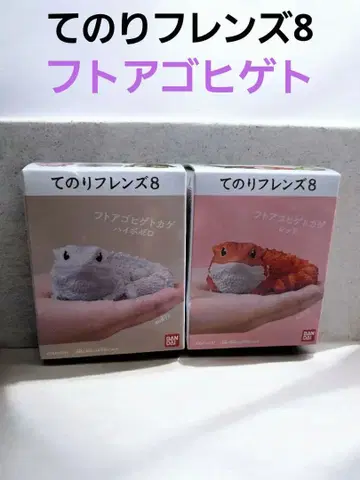 테노리 프렌즈 8 푸토아고히게 2개 세트