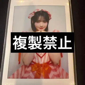 진세이 스즈카 캔디 의상 폴라로이드