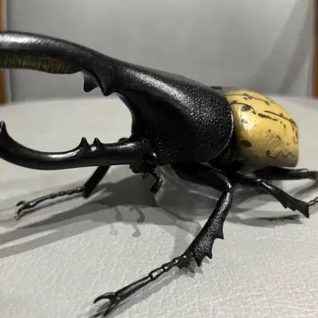 제일복권 곤충 헤라클레스 장수풍뎅이 피규어 원형 크기