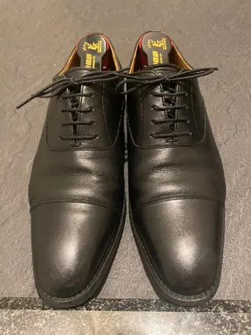 SCOTCH GRAIN T0146 샤인 오어 레인 3E 25cm