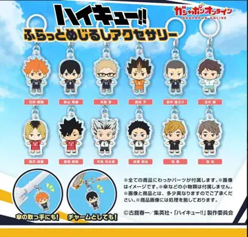 하이큐 메지루시 참 컴플리트 세트