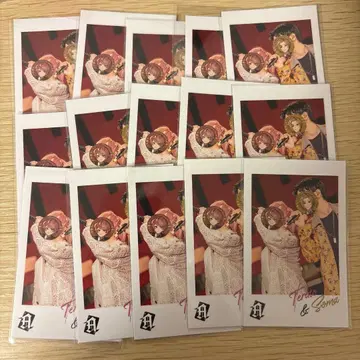 Knight A - 기사A - 테루토쿤 소마 폴라로이드풍 포토카드 실사