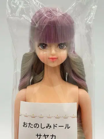 사야카 리카짱 캐슬 오타노시미 인형 그레이 보라색 계열 헤어 제니 프렌드